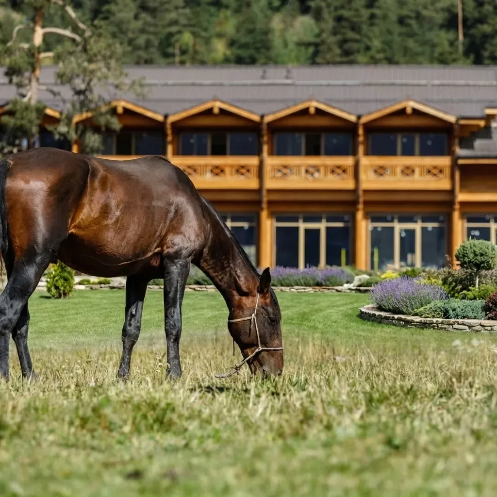 Конноспортивный комплекс «RIDING CLUB»